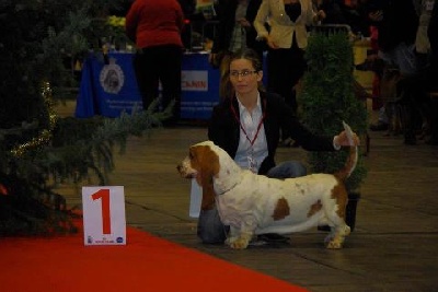 Du Monde Fantastique De Dyna - First Snow à Brussels dogshow