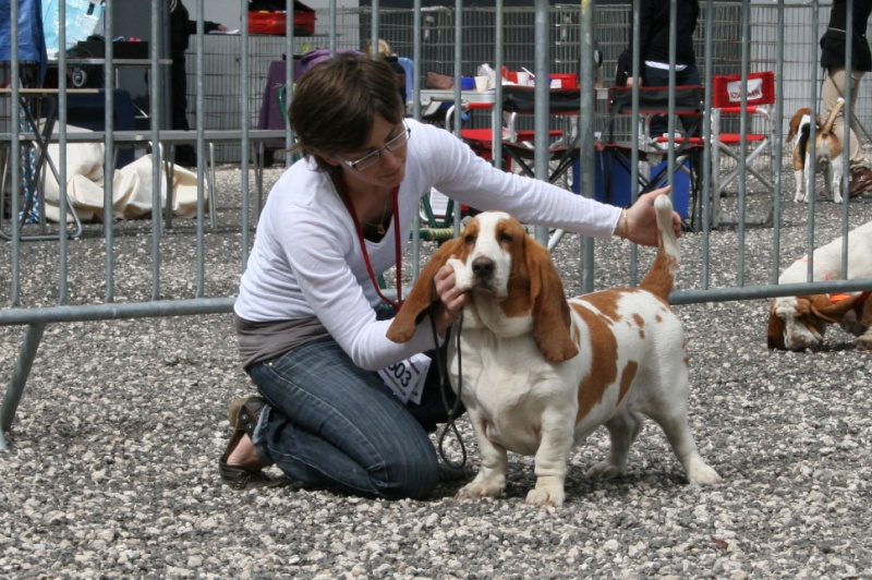 expo dreux 2011